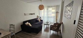 ideal curiste Bel appartement 51 m2 au centre